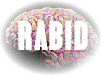 rabid brain